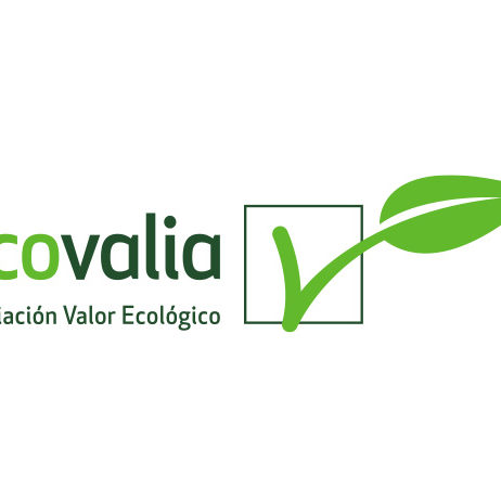 Producción Ecológica y Energías Renovables. Generando energía limpia y ahorrando costes