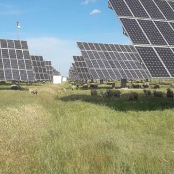 Desbroce sostenible placas solares