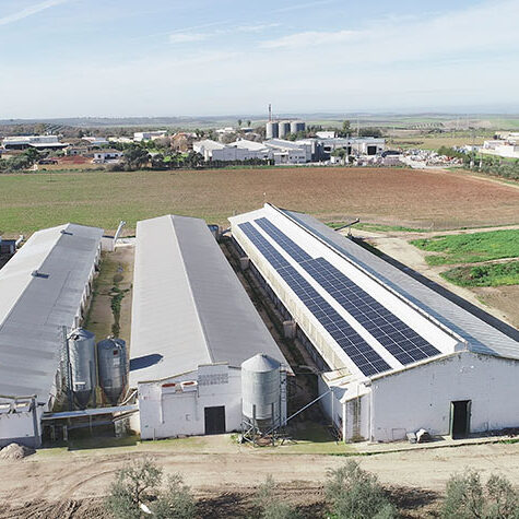 instalación-paneles-solares-SAN-RAFAEL-0092
